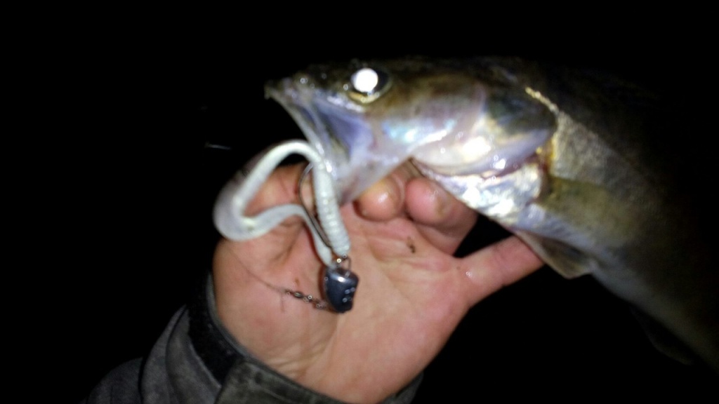 Зимняя ночная рыбалка на судака: секреты и особенности